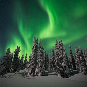 Meet your Posher, Carole